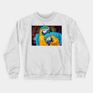 Best Friends Crewneck Sweatshirt